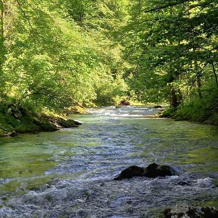 Apartma Marjetica Blejska Dobrava Kültér fotó